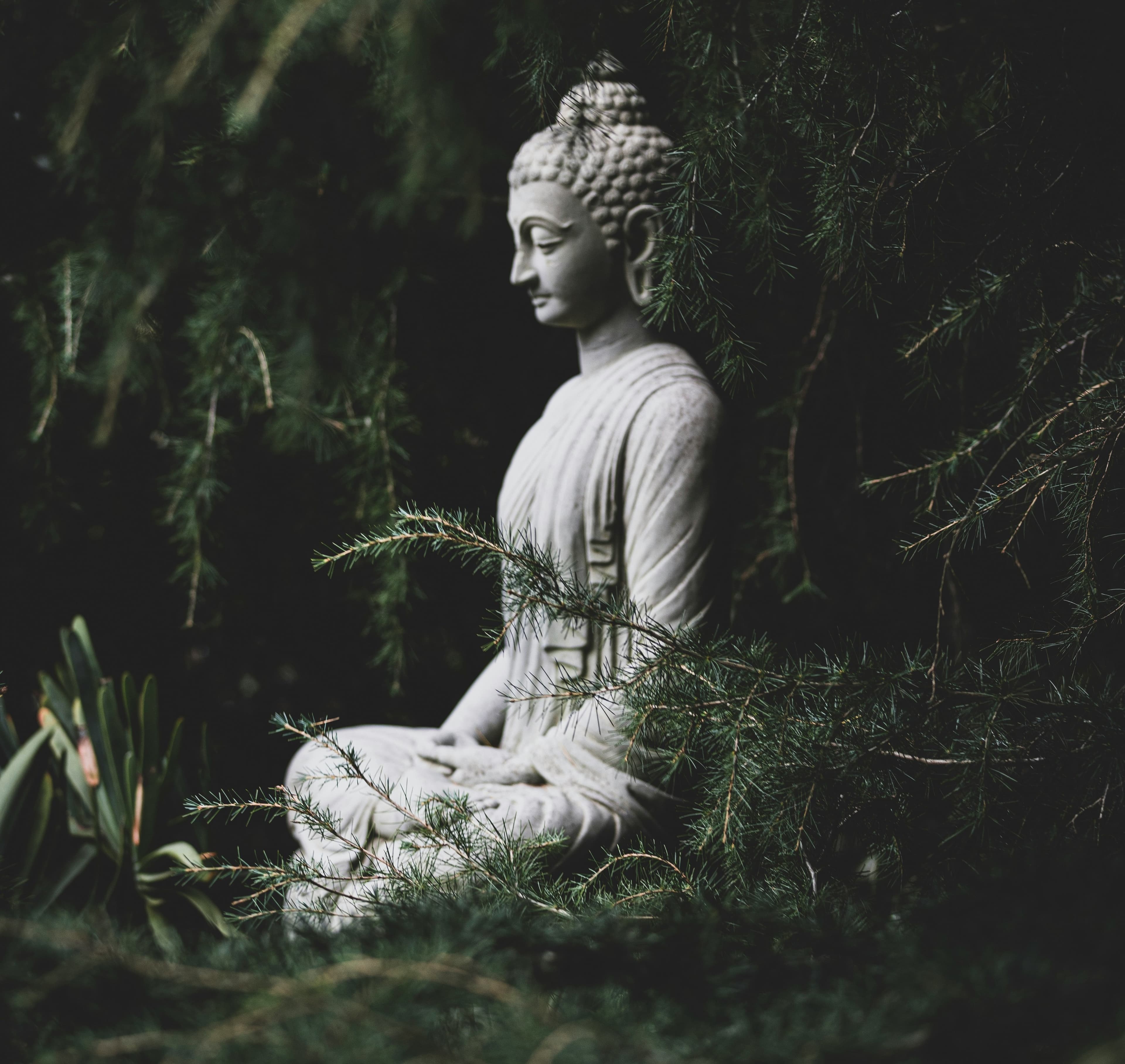Buddhism