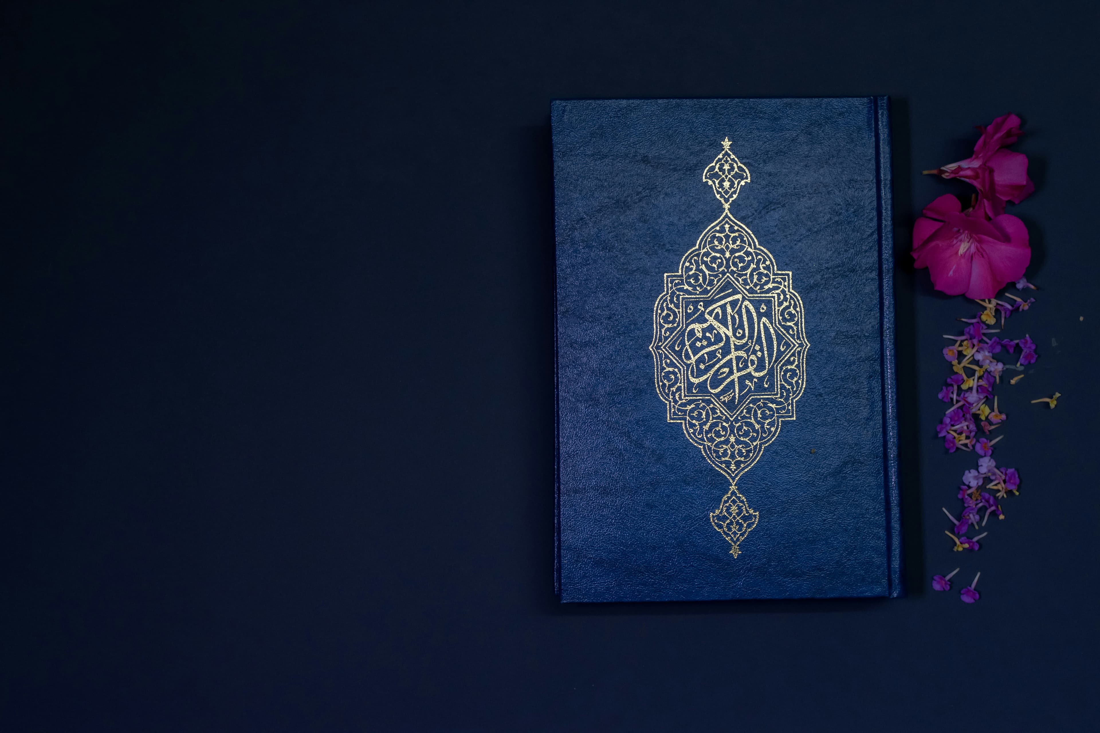 Quran & Sunnah